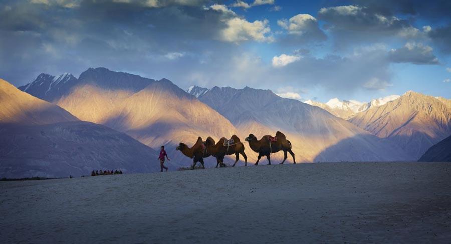Chamba Camp Diskit Nubra Εξωτερικό φωτογραφία