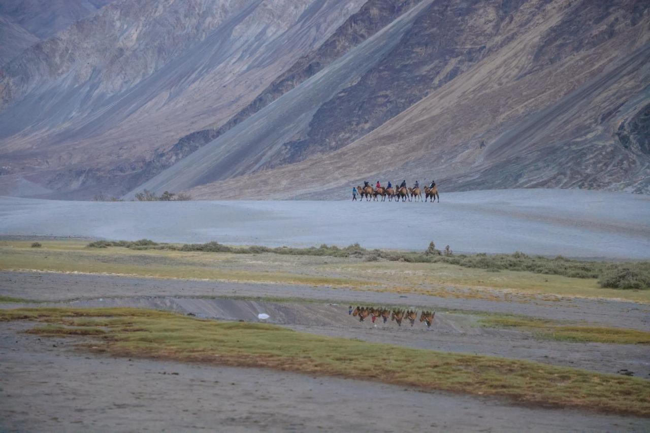 Chamba Camp Diskit Nubra Εξωτερικό φωτογραφία