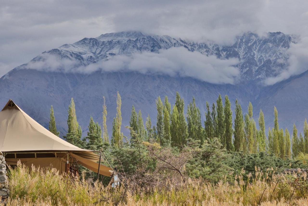 Chamba Camp Diskit Nubra Εξωτερικό φωτογραφία
