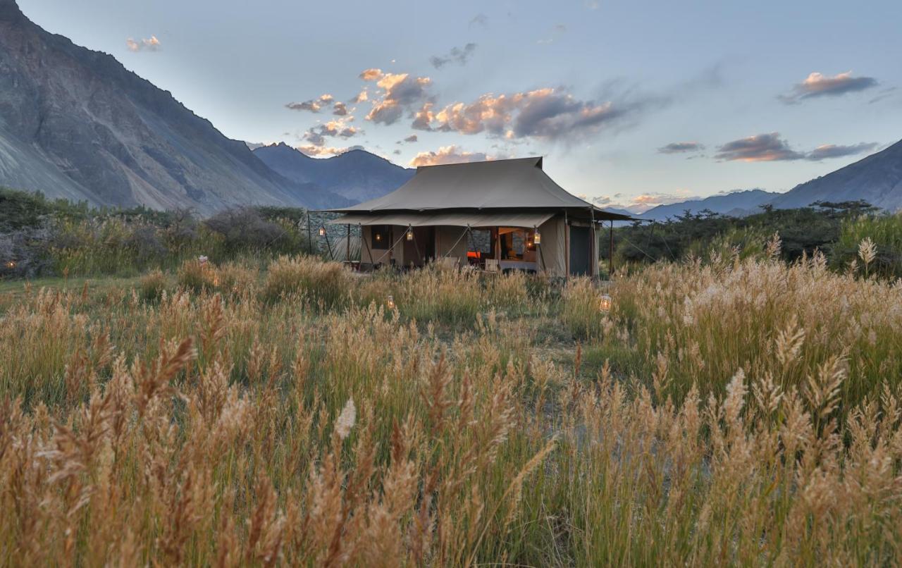 Chamba Camp Diskit Nubra Εξωτερικό φωτογραφία